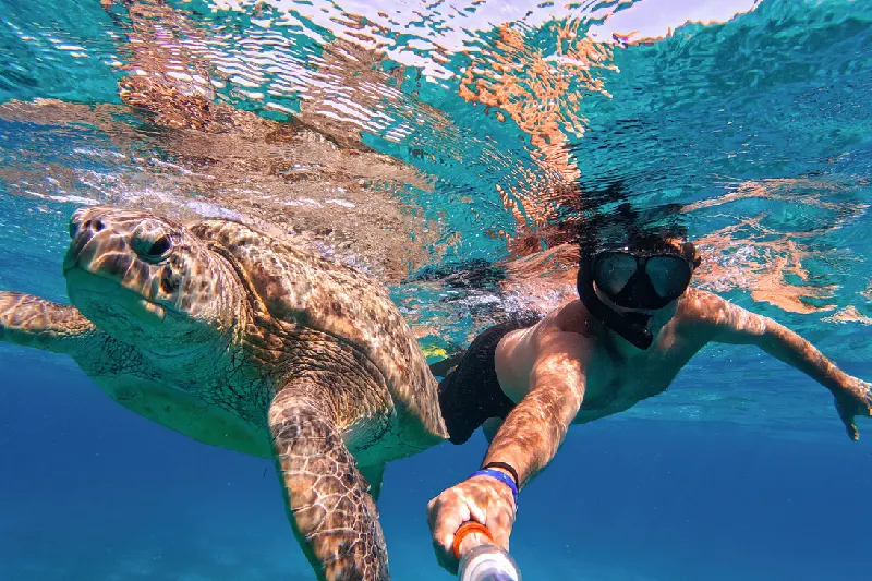 nuotare con lo snorkel con una tartaruga verde a marsa alam, tour egitto piramidi e mare