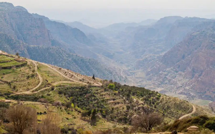 la Riserva della Biosfera di Dana
