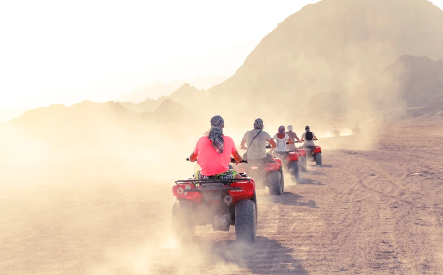 un gruppo fa safari al deserto , cose da sapere prima di andare a sharm