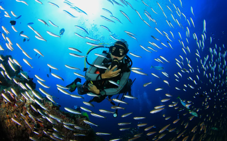 un uomo fa snorkling a sharm
