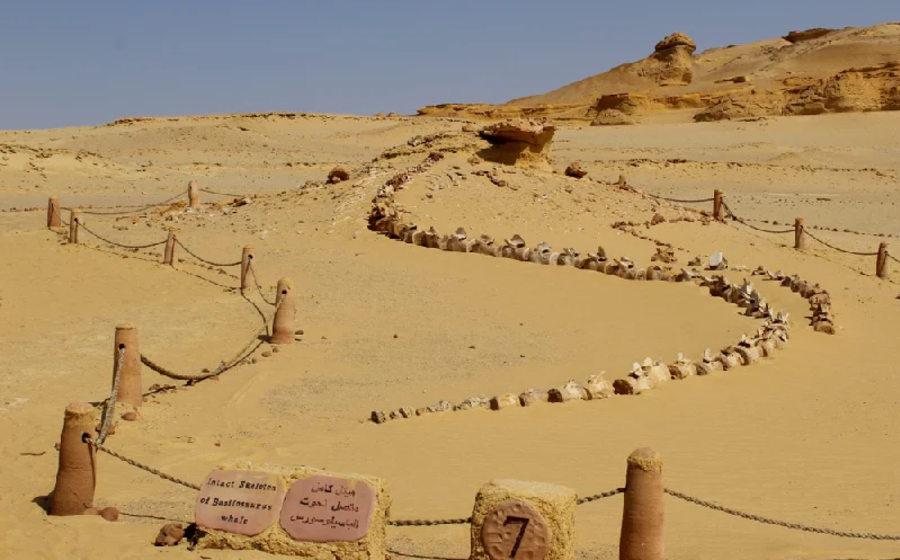 Wadi Hitan