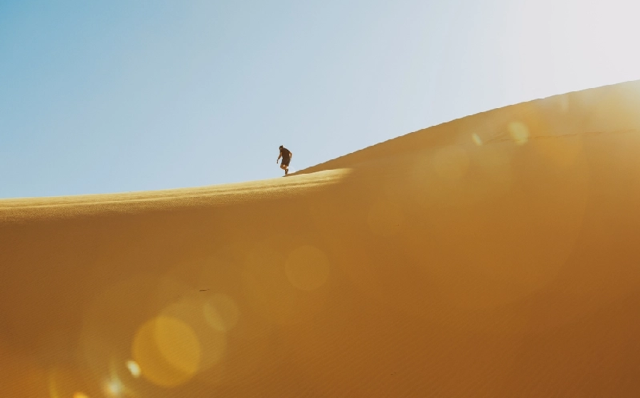 Wadi Hitan
