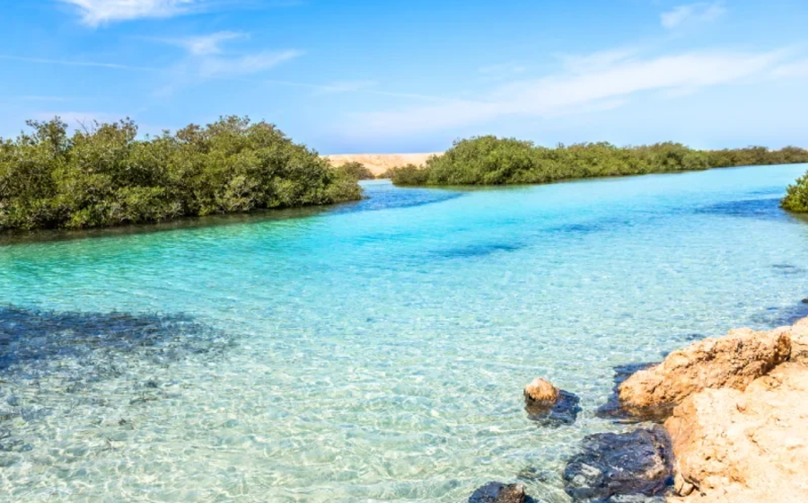 la bellezza del mare, abu dabab