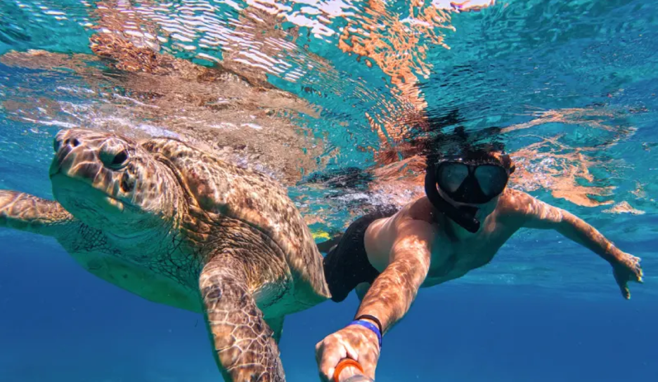 Uomo e Tartaruga, escursione abu dabbab