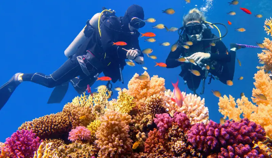 marsa alam, crociera sul nilo e marsa alam