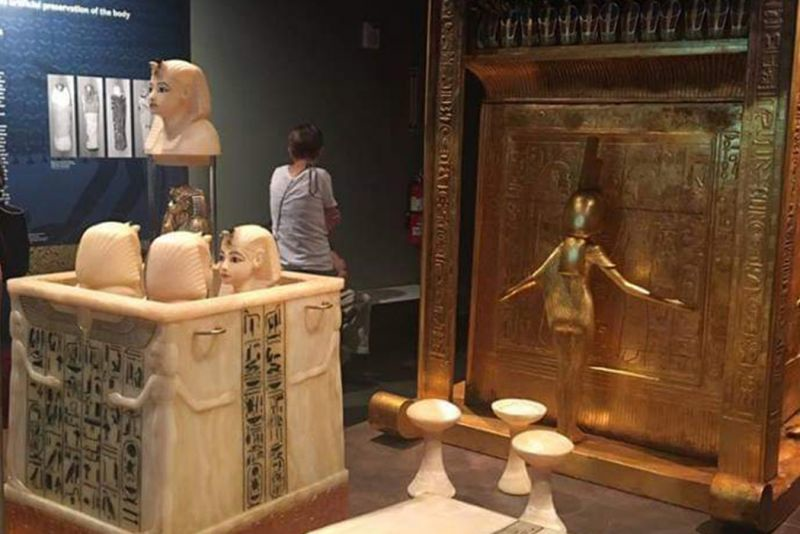 King Tut Facts Interesting Facts about King Tut Memphis Tours