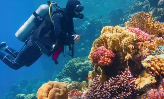 mare, tour egitto piramidi e mare