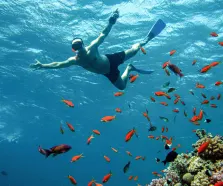 Immersioni mar rosso, un uomo fa snorkeling a hurghada