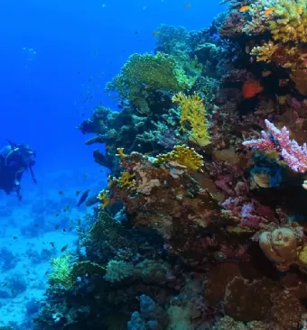 Porti sul Mar Rosso, il mare di Safaga