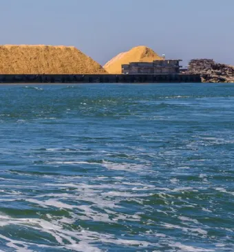 Statua egiziana, il mare di minya