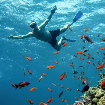 Immersioni mar rosso, un uomo fa snorkeling a hurghada