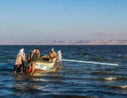 Lago Qarun, Un gruppo dei uomini  pescano nel lago