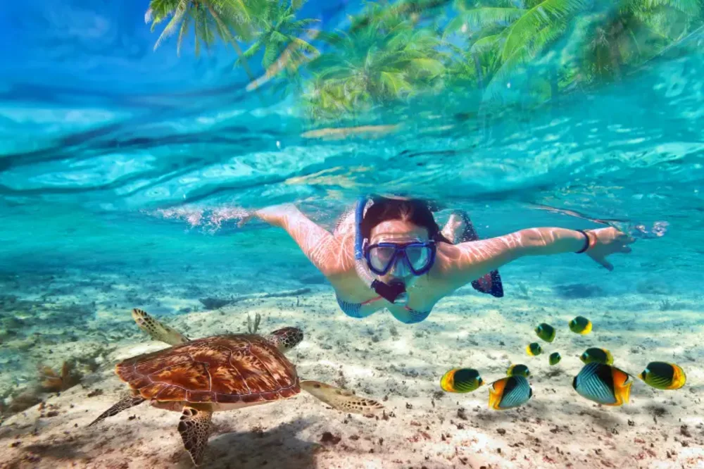 Snorkeling Mar Rosso | Snorkeling in Egitto | Tour Egitto