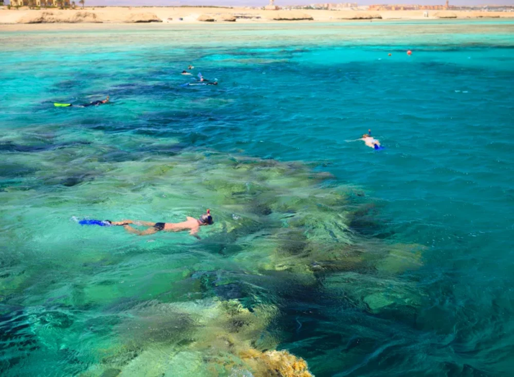 Snorkeling Mar Rosso | Snorkeling in Egitto | Tour Egitto