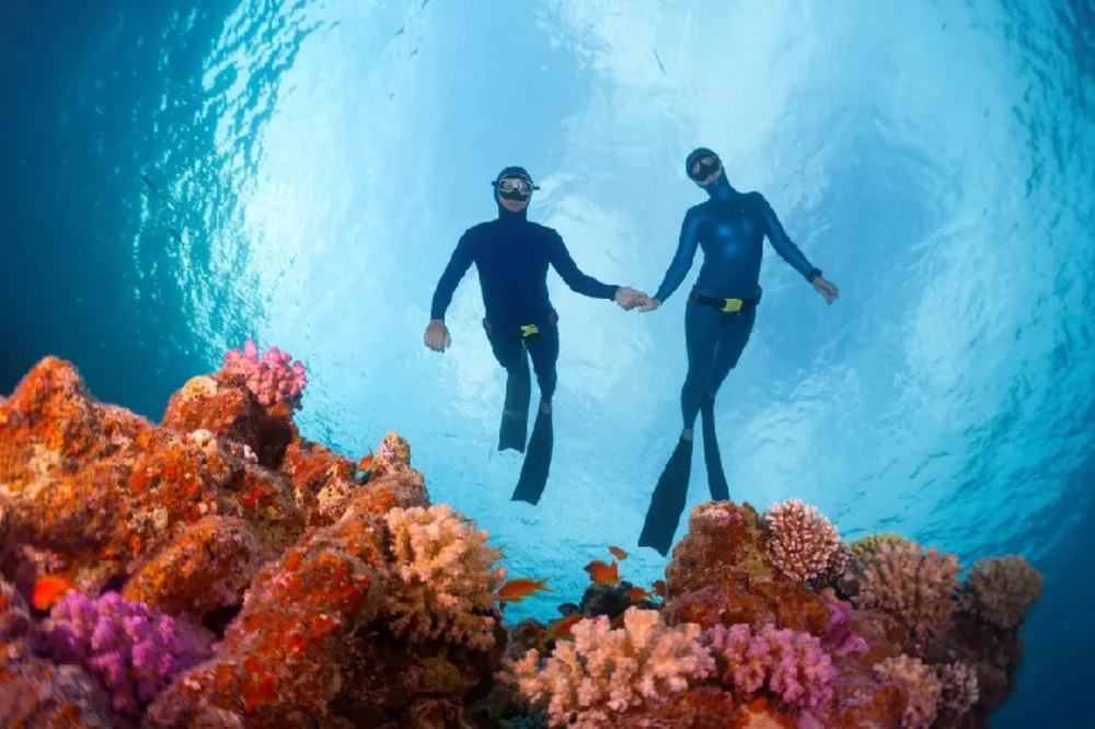 Barriera Corallina del Mar Rosso | Reef Mar Rosso