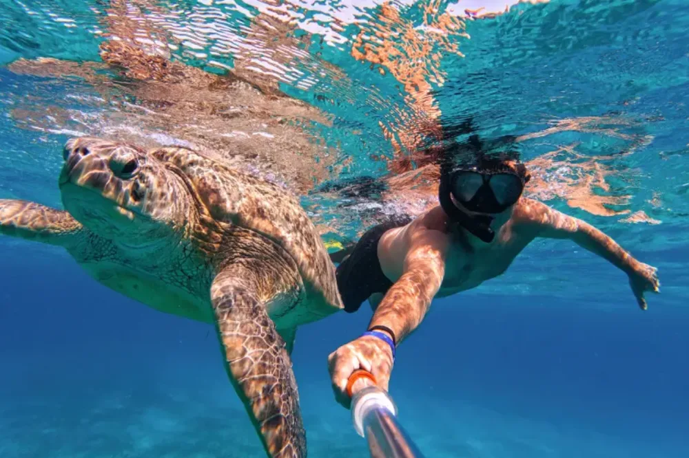 Cosa Vedere a Marsa Alam | Cosa C'è da Vedere a Marsa Alam