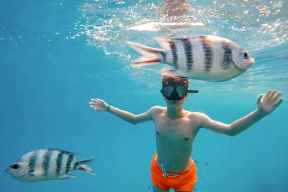 Cosa Vedere a Marsa Alam | Cosa C'è da Vedere a Marsa Alam