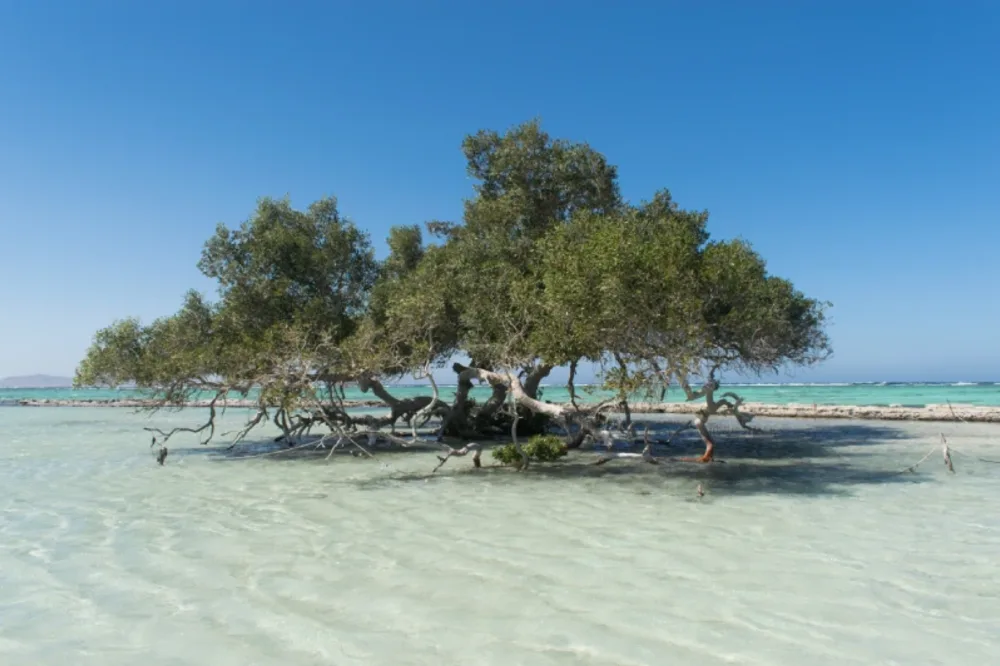 Cosa Vedere a Marsa Alam | Cosa C'è da Vedere a Marsa Alam