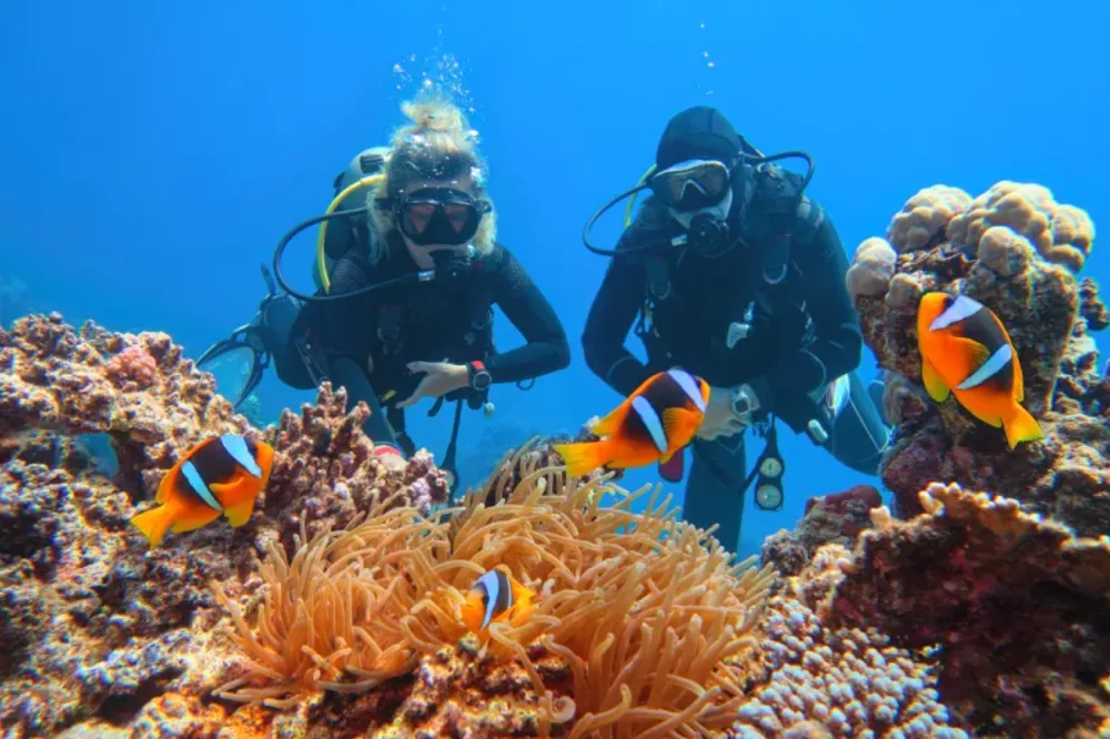 Cosa Vedere a Marsa Alam | Cosa C'è da Vedere a Marsa Alam