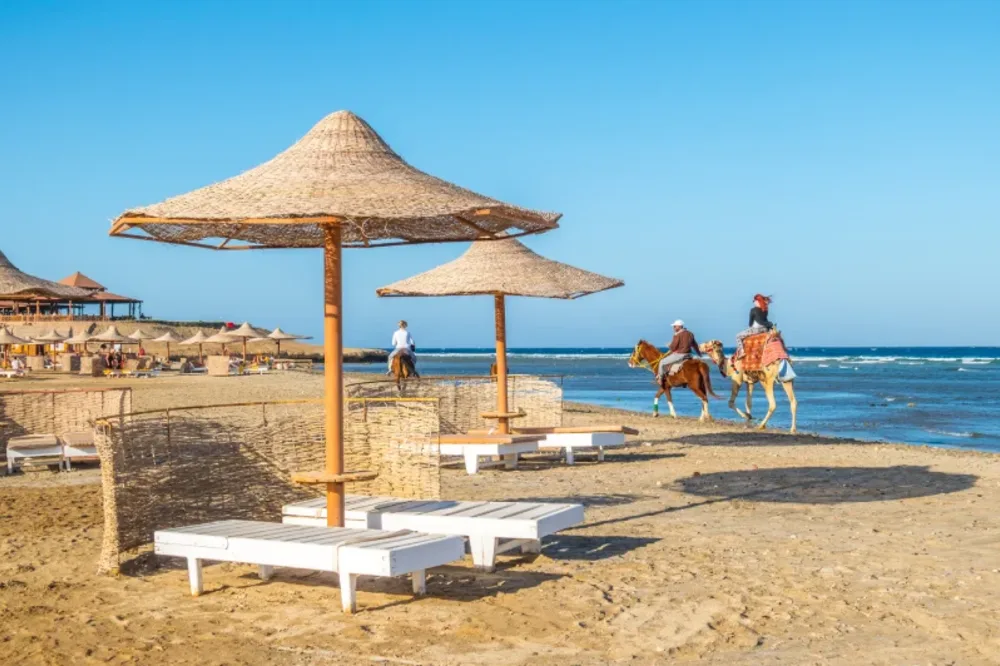 Cosa Vedere a Marsa Alam | Cosa C'è da Vedere a Marsa Alam
