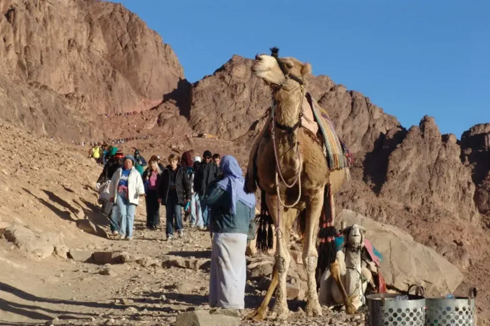 Monte Sinai dove si trova