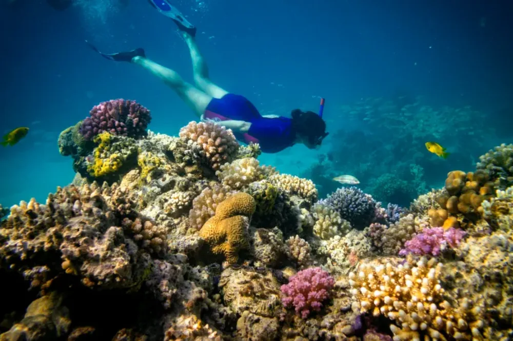 Cosa Fare a Marsa Alam