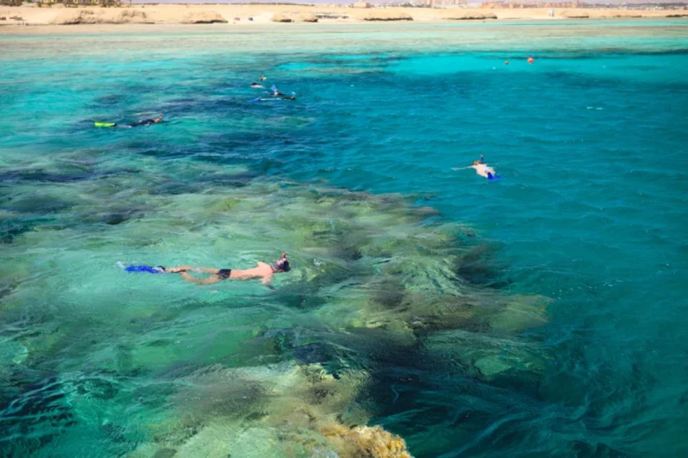 Cosa Fare a Marsa Alam