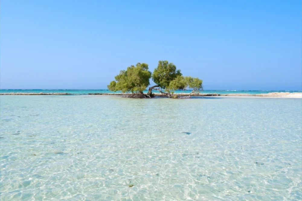 Cosa Fare a Marsa Alam