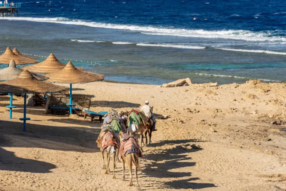 Marsa Alam Deserto