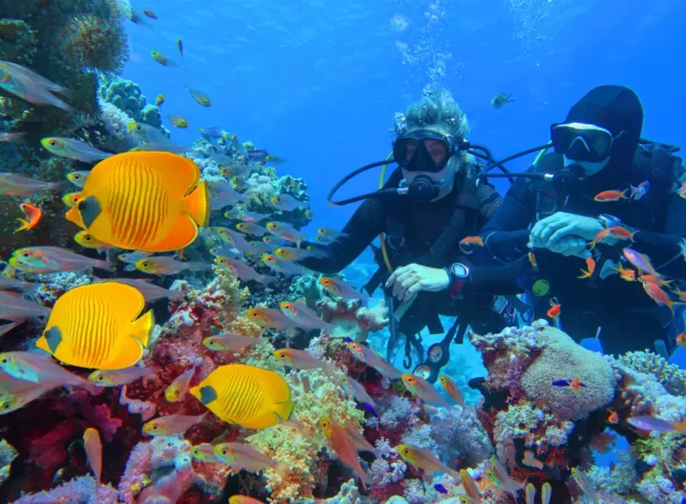 Marsa Alam Egitto | Marsa Alam Città | Tour Egitto