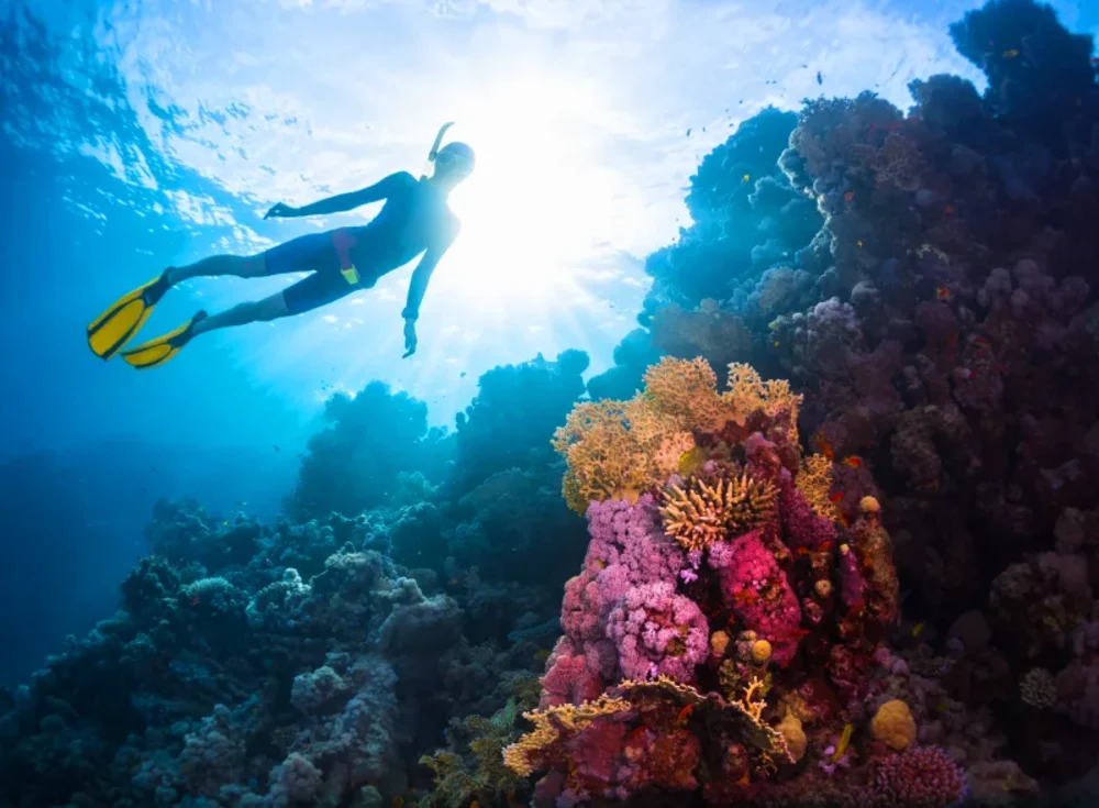 Il Mar Rosso | Guida di Viaggio | Tour Egitto