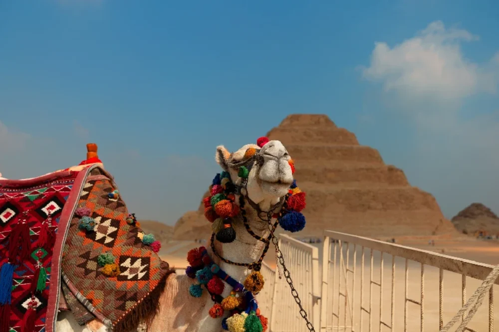 La Piramide di Djoser | Tour Egitto