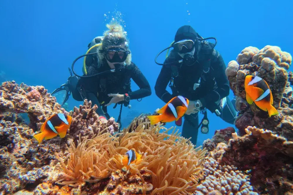 Marsa Alam Egitto | Marsa Alam Città | Tour Egitto