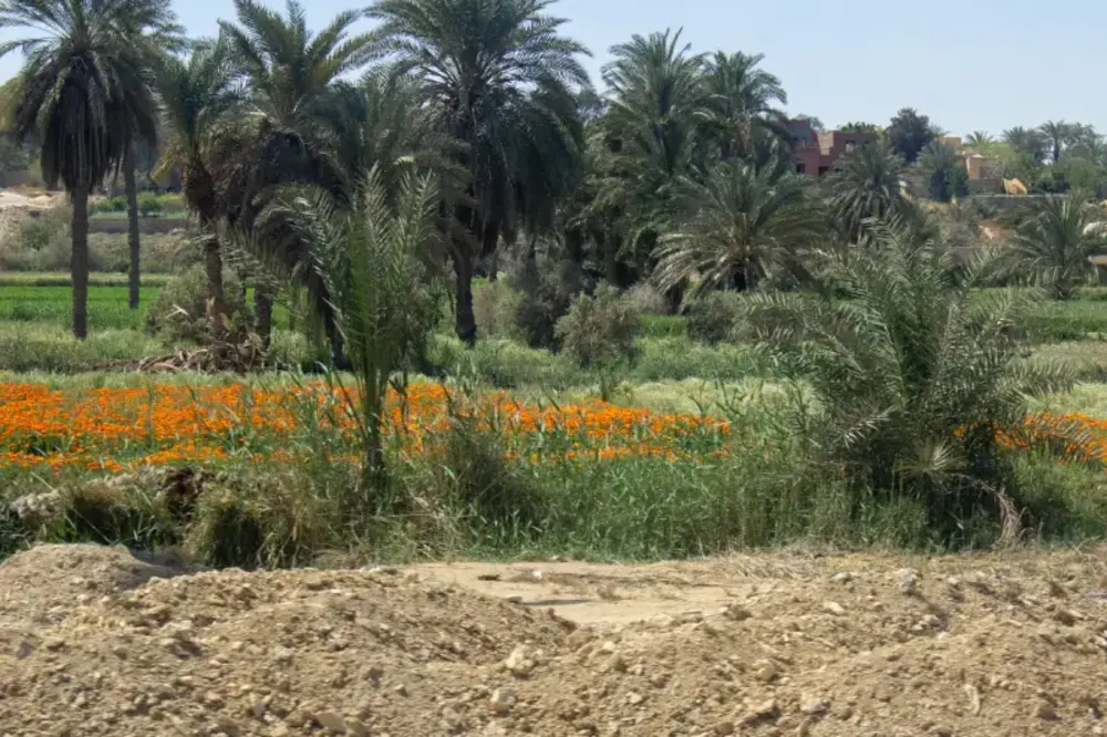 Al Fayyum | Fayyum | Fayyum Egitto | Tour Egitto