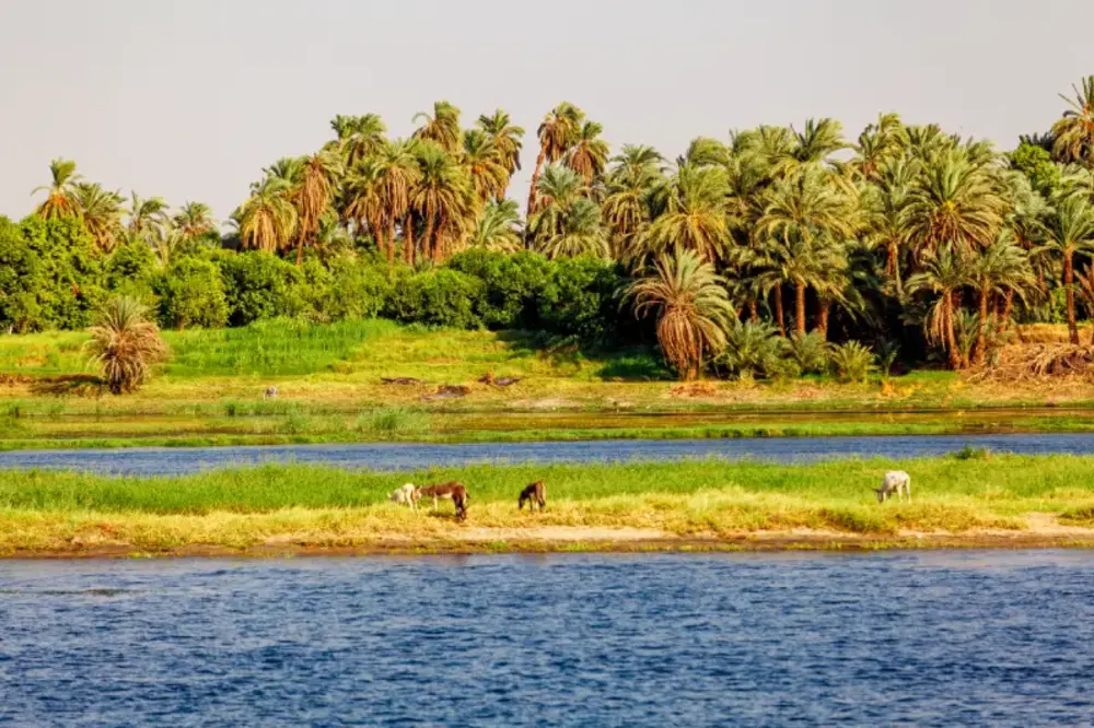 Delta del Nilo | Il Delta del Nilo | Tour Egitto
