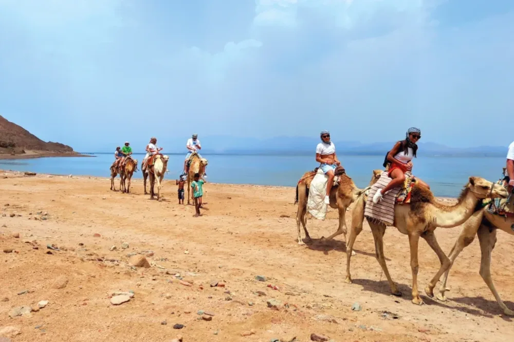Deserto del Sinai | Il Deserto del Sinai | Deserto di Sinai
