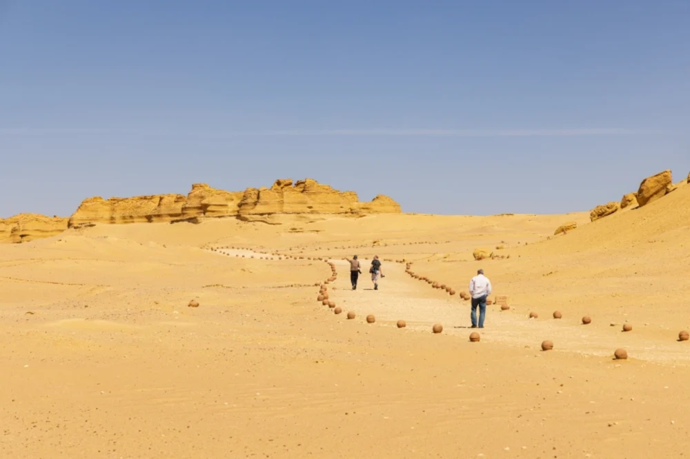 Wadi Al Hitan