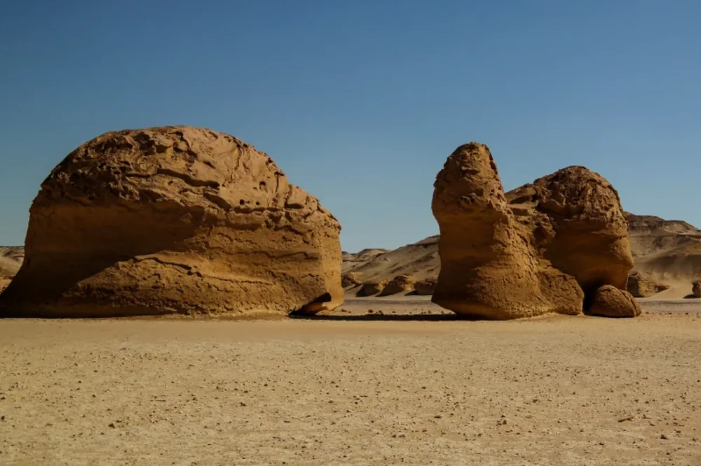 Wadi Al Hitan