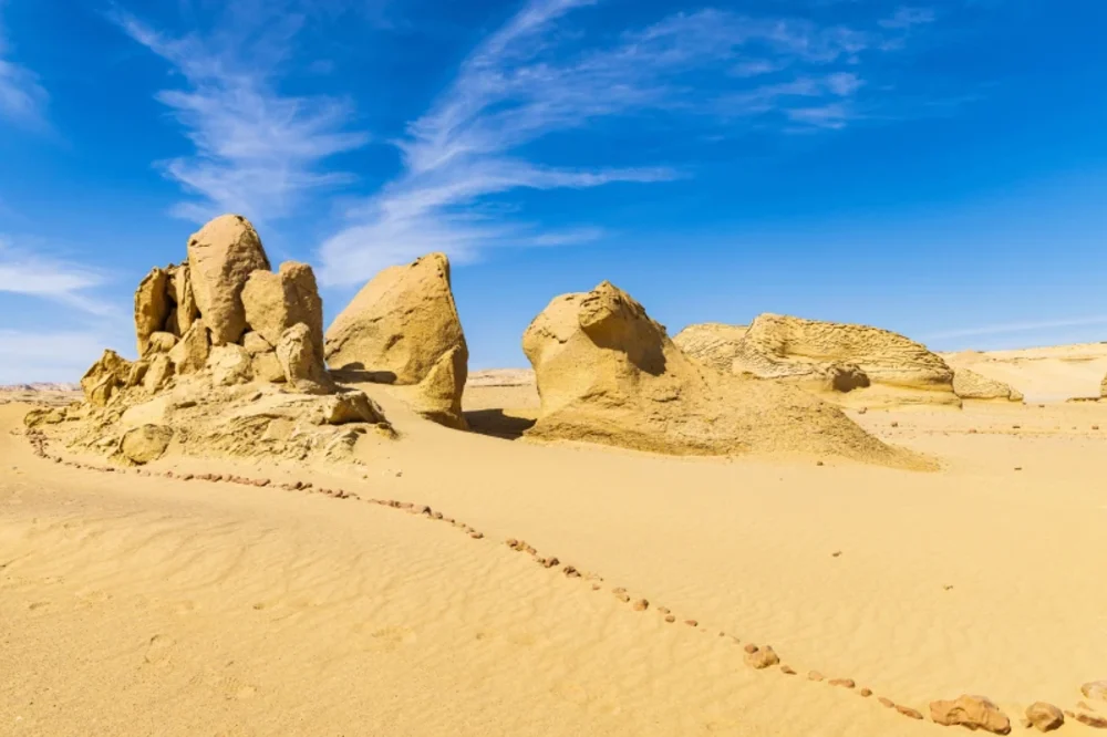 Wadi Al Hitan