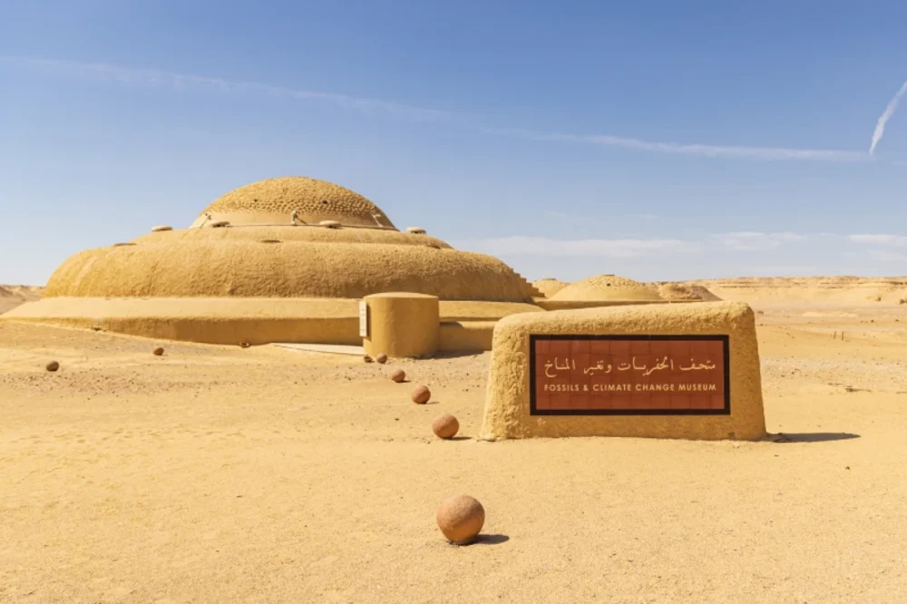 Wadi Al Hitan