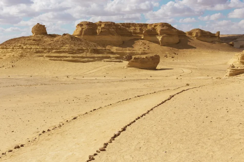 Wadi Al Hitan