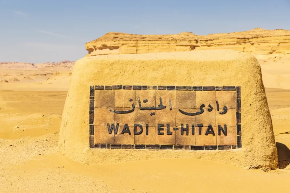 Wadi Al Hitan