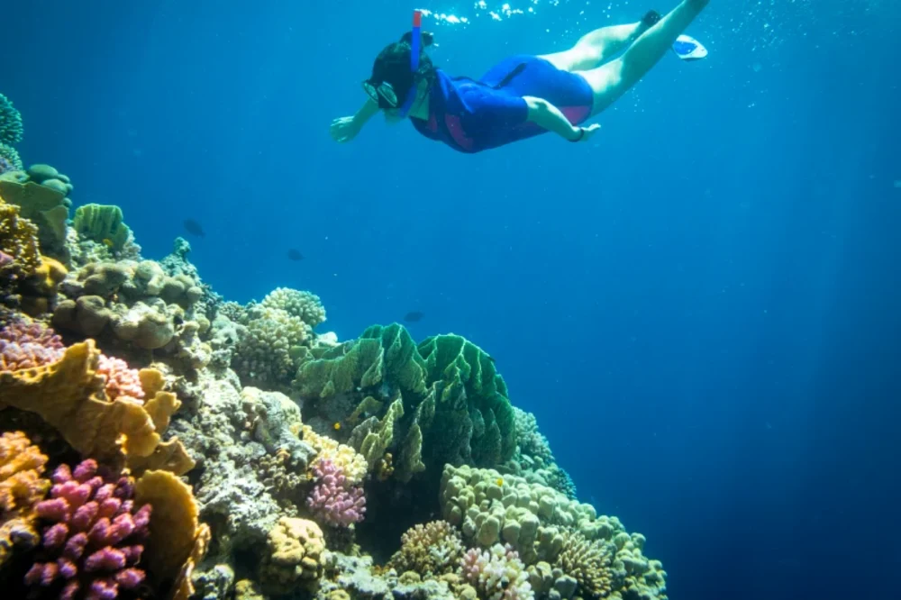 Sharm El Luli