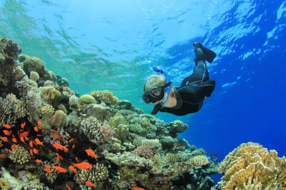 Sharm El Luli