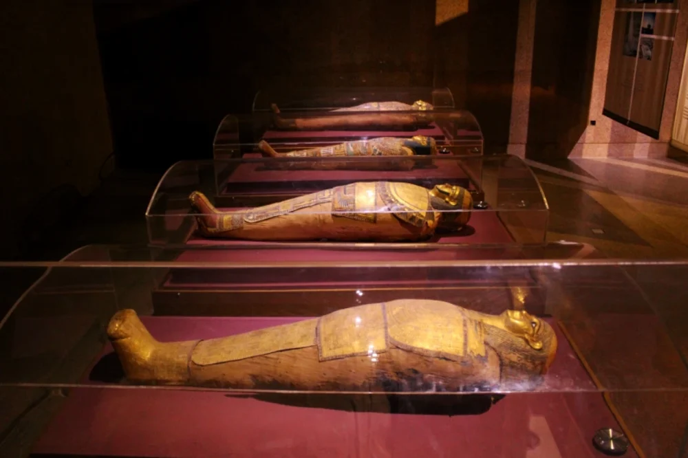 Museo Nubiano