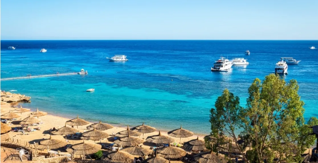 Cose da fare a Sharm El Sheikh, Mare cristallino