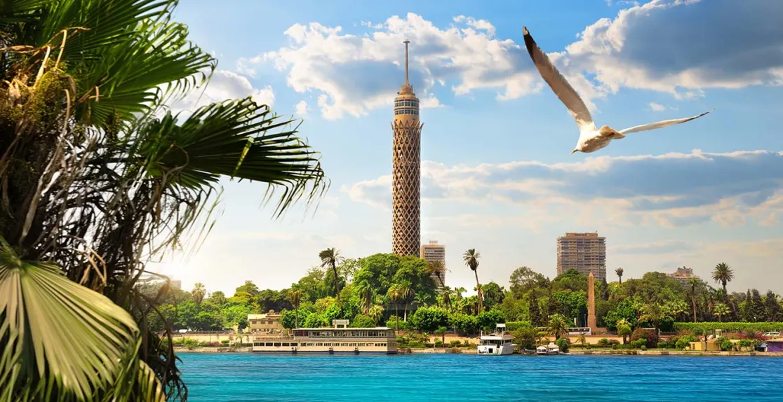 la Torre del Cairo