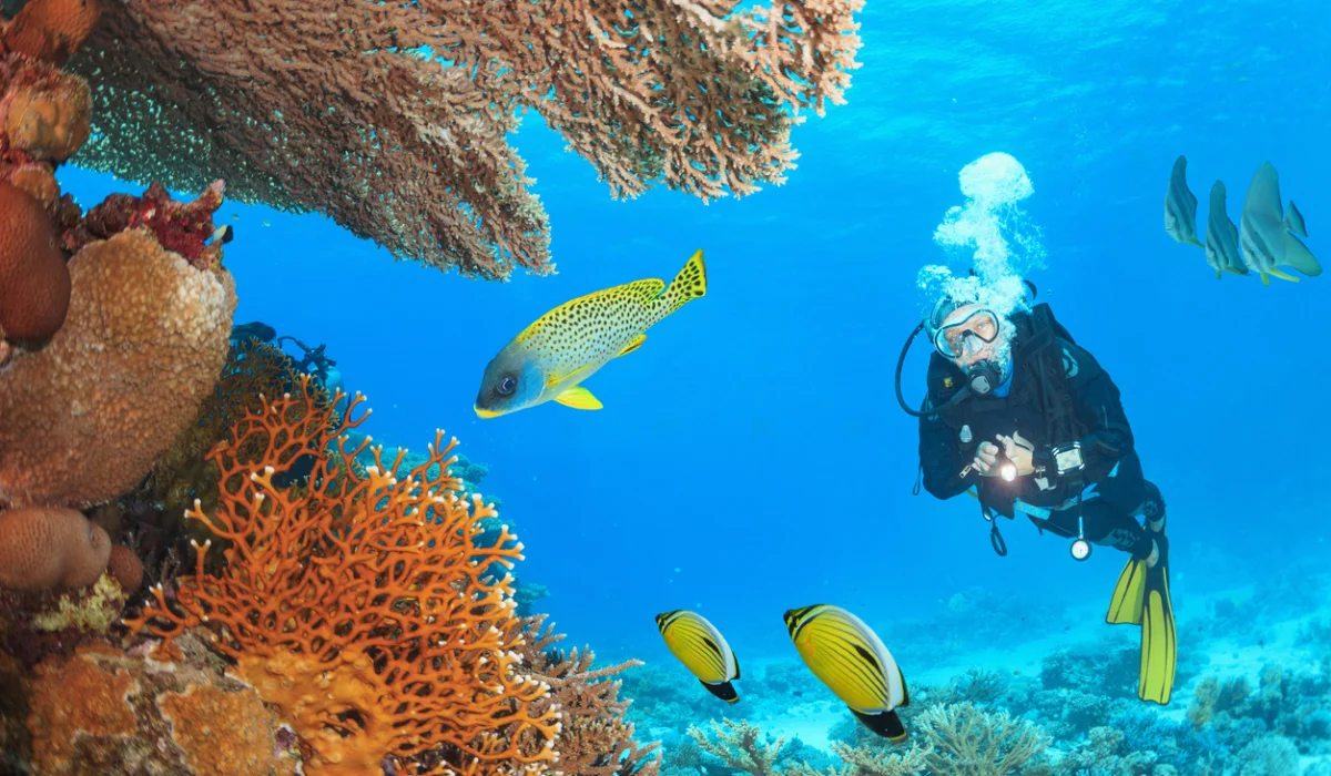 Best time to visit Egypt