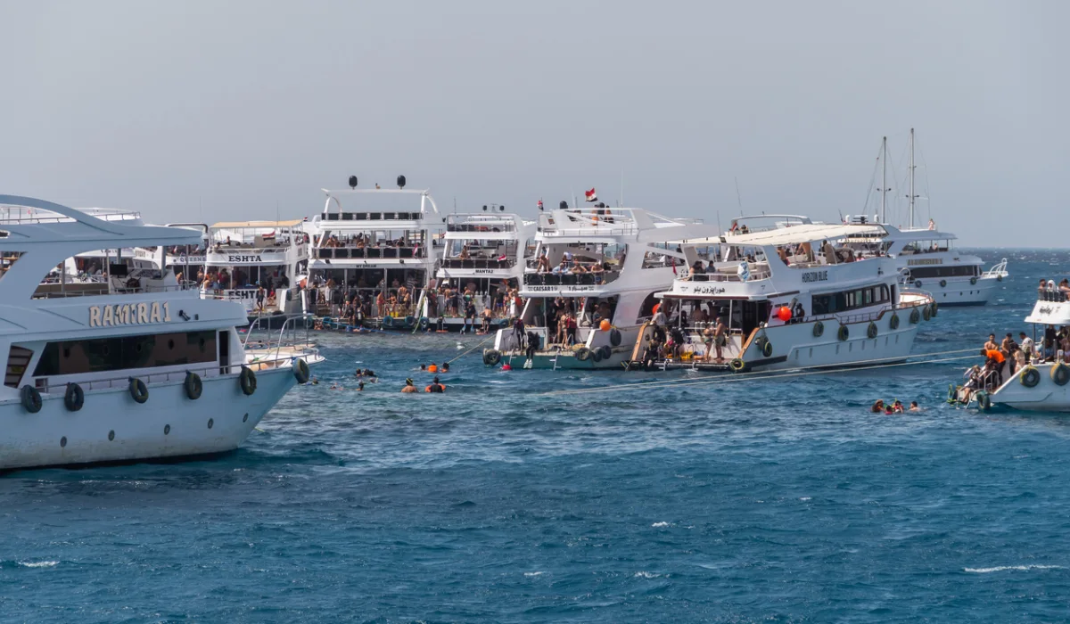 The tourists have arrived for diving and snorkeling in the Red Sea, Best Snorkeling Sites in Red Sea