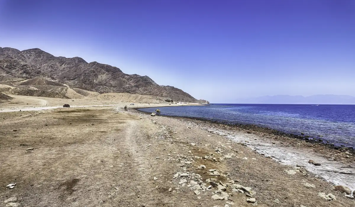 Scenic coastline along the Red Sea, Best Snorkeling Sites in Red Sea